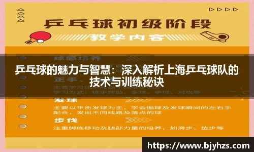 乒乓球的魅力与智慧：深入解析上海乒乓球队的技术与训练秘诀